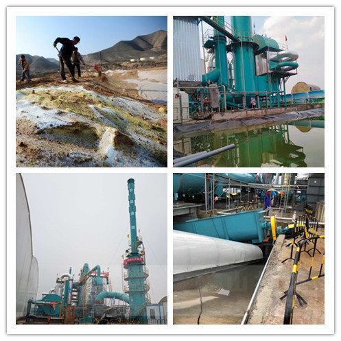 ������Ⱦ���ޏ�