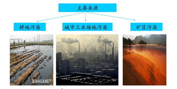 ��I(y��)���w�����Ⱦ��(ch��ng)��